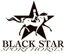 Black Star Sport Horses Publicist