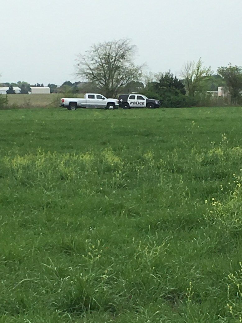 Black Star Sport Horses