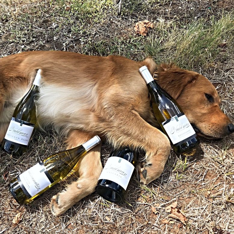 Kuhlman cellars Summer Bundle